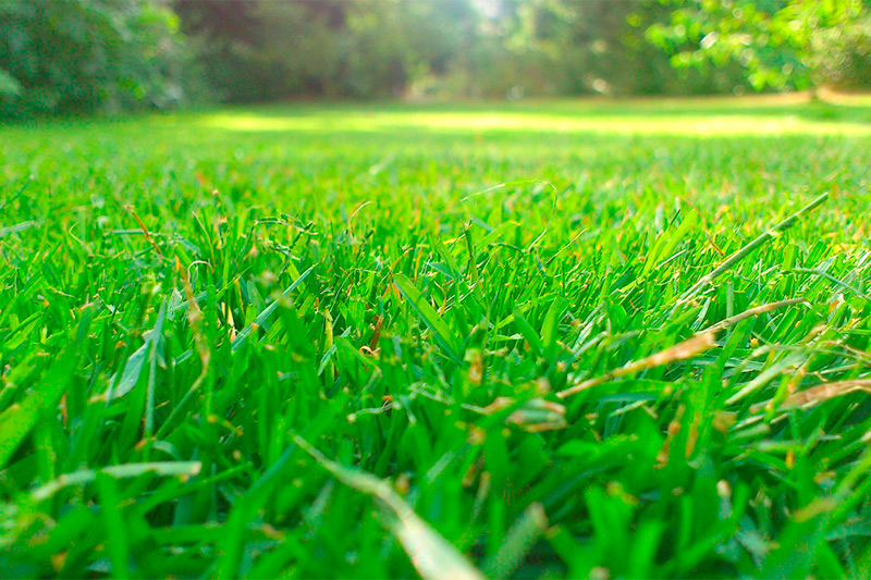 Parallax Background